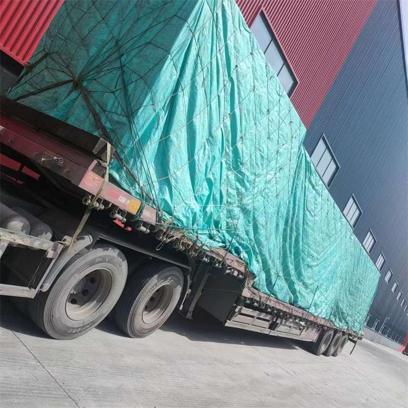 河北沧州南皮县到甘肃物流公司河北沧州南皮县至甘肃物流专线往返运输河北沧州南皮县大型物流公司普货冷链高效电商快运零担整车大件货运直达一站式服务