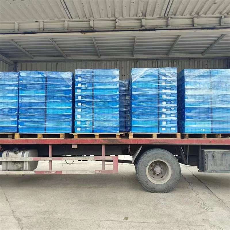 河北沧州南皮县到惠东物流公司，提供一站式货运服务（到惠东物流公司,提供一站式货运服务吗）